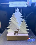 Christmas Decoration Kit